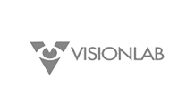 vision_lab_gris
