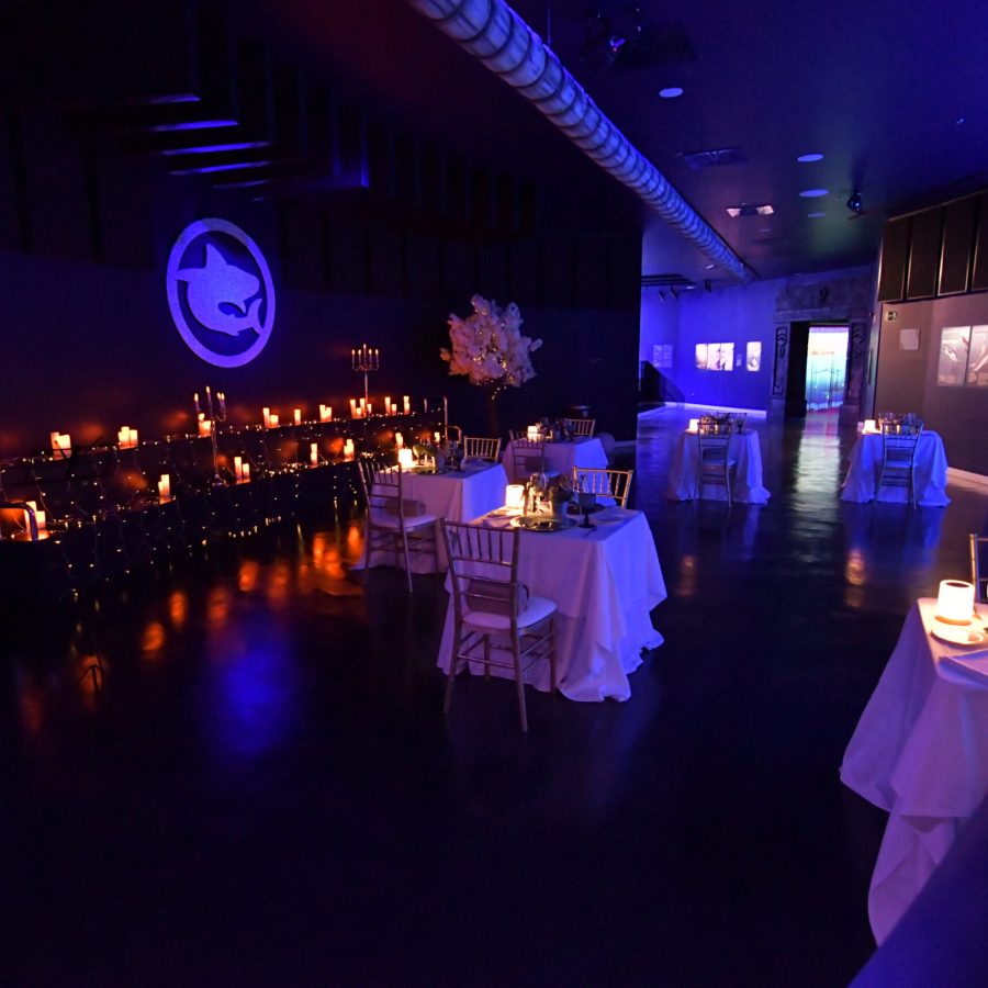 san-valentin-acuario_0847